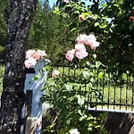 Montecelos Tatil Evi