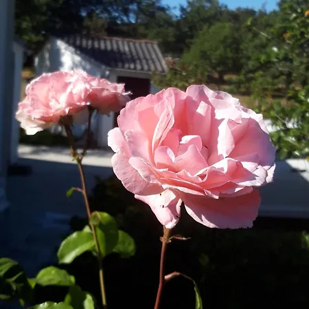 Montecelos * Antas de Ulla