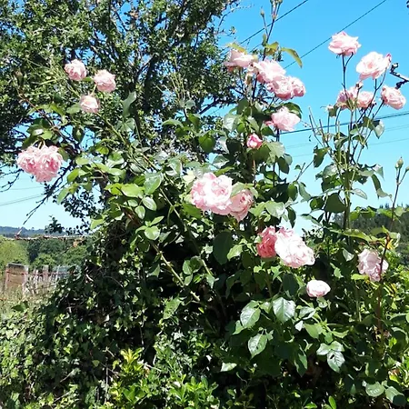 Montecelos Сasa de vacaciones Antas de Ulla