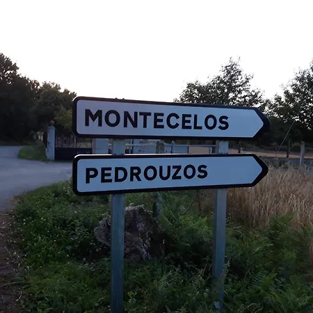 Montecelos *