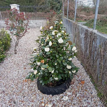 Montecelos Holiday home