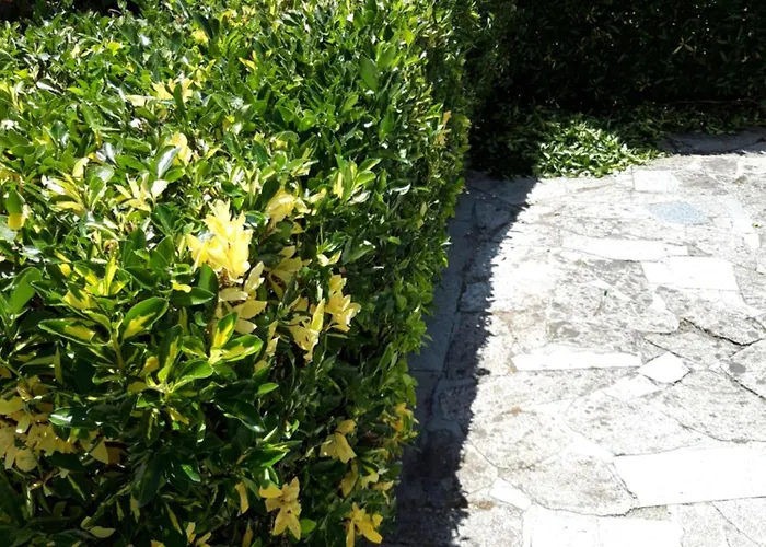 Montecelos Holiday home