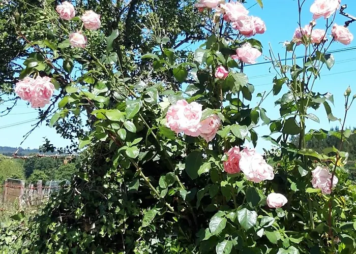 Montecelos 펜션 Antas de Ulla